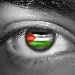 الصف السادس - المكتبة الفلسطينية الشاملة