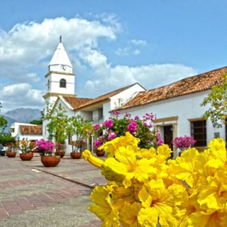 Telegram Valledupar
