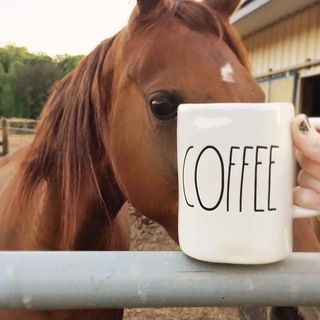 TEAM KNOTTY PUBLIC LINKS