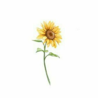 🌻Цілющий Соняшник🌻