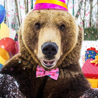 🐻Медведь Мансур ✔