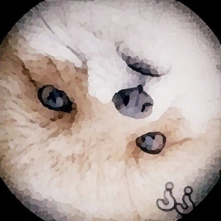 Kezas Kink Collection 🔐