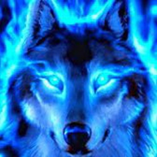 Husky / Raid: SL