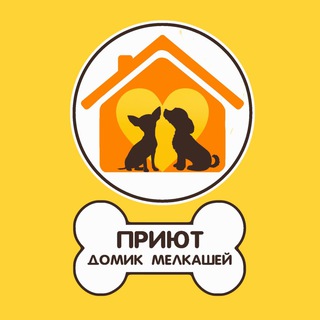 Домик Мелкашей – приют для маленьких собак