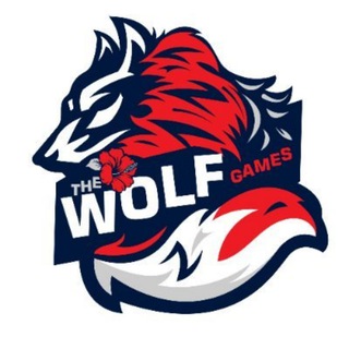 محمد فضل/ التعريب العاب الحاسوب والكونسل