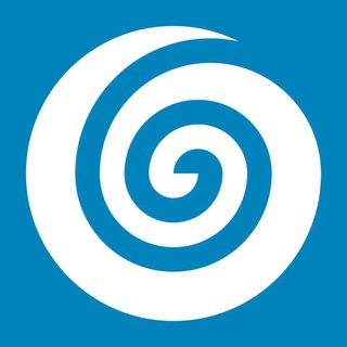 Support Team