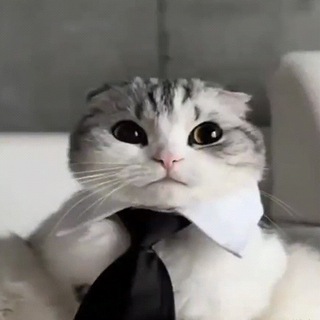 KomaruAutoBuy -> 1.16.5 DLC