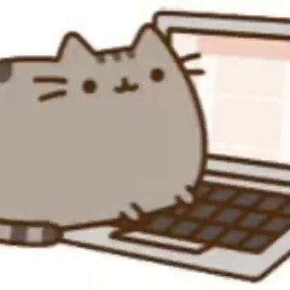 ooicat 公告