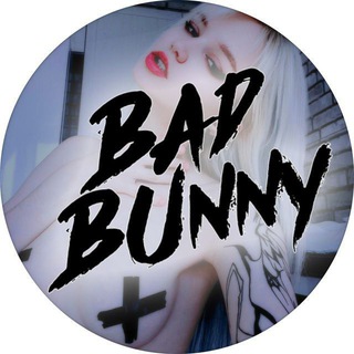 BAD.BUNNY.PREMIUM💎