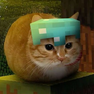 dot.com4t