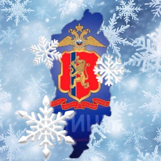МВД 24