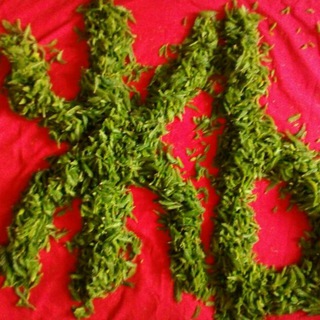 vianega