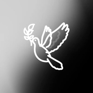 FreeBird 🖤
