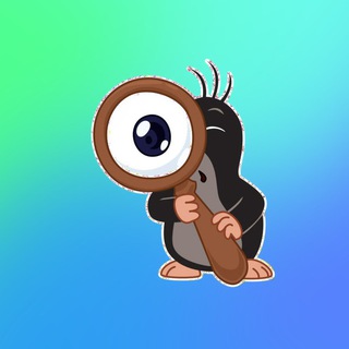 Open_OSINT_Bot
