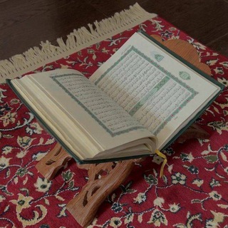 ام شامبو 🇸🇦❤️‍🔥