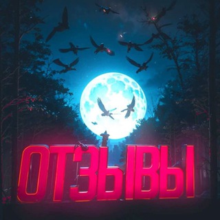 ️Отзывы ️