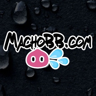 MachoBB (News) 🐽💦