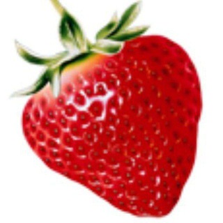 Главное меню