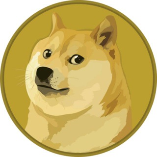狗狗vpn