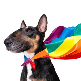 Fag Dog Portal