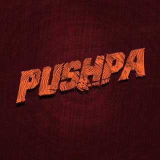 Pushpa 2 – The Rule 🔥 ✔
