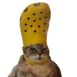 MeowReco