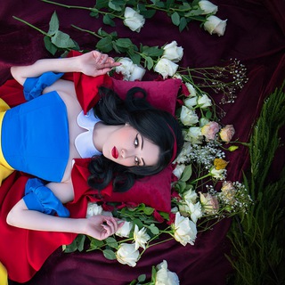 morphia делает ✨