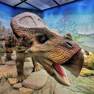 Дарвиновский музей ✔