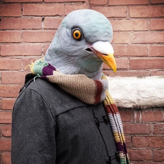 Знакомства Псков