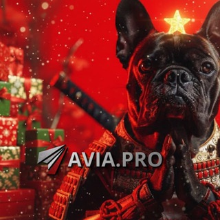 Avia.pro