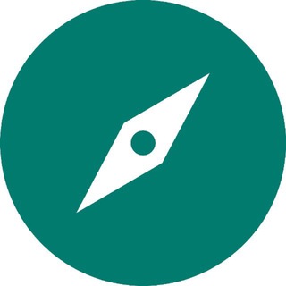 Borja Insights