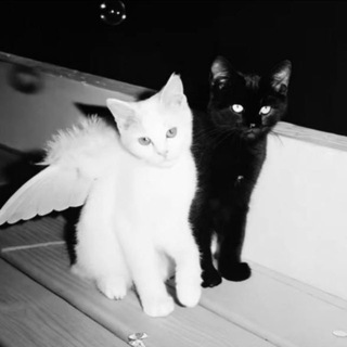 Парные аватарки | авы