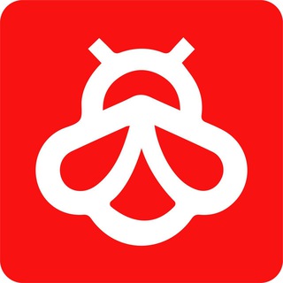 蜂群VPN
