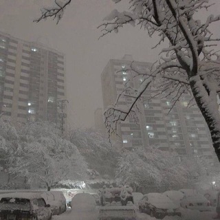 🩵Шаблоны мемов ТТ