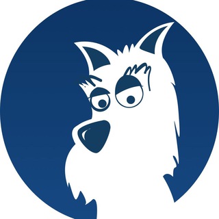 SSRDOG官方| 通知頻道