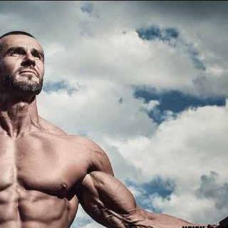 Premium Courses in Cheap