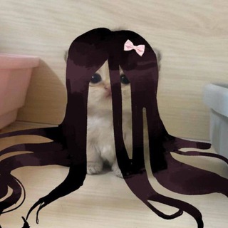 сашатоны(тпох)💉