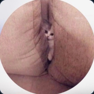 💦 LEYA GORNAYA АРХИВ MYLITTLERAIN ЛЕЯ ГОРНАЯ