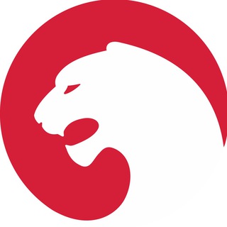 Закупки ГК Ирбис