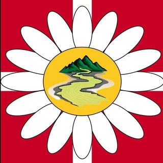 Детский сад «Жёлтый ручеёк» чат