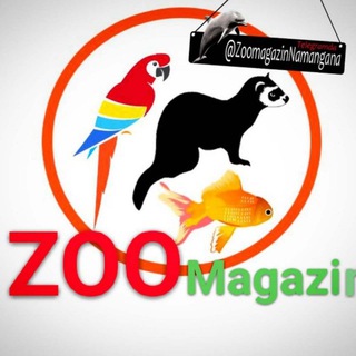 🇺🇿Zoo Group N1✔✔