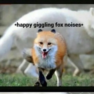 Furry gifs.
