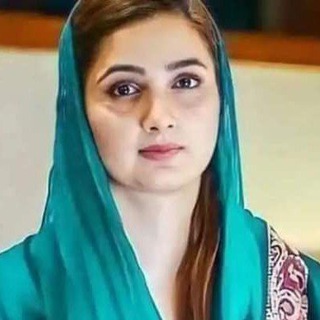 Pakistani MLA viral video