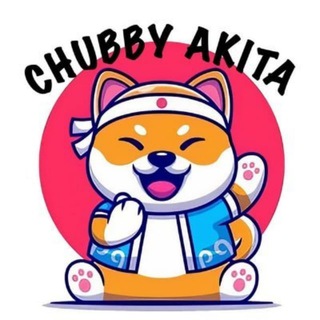 Chubby Akita