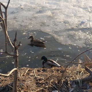 ТВОЁ МЕСТО☀️Чат для подростков