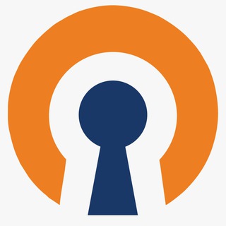 snegir.vpn