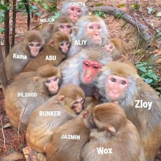 Я PUBG MOBILE CHAT❤️