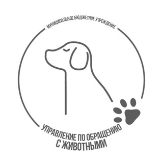 Муниципальный приют для собак | Краснодар