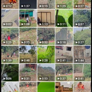 Pissing Videos Seller