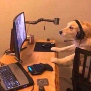 а чат дипинса умеет не смеяться?